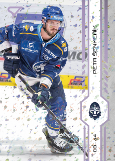 Šenkeřík Petr puck marks Tipsport extraliga 24/25 #242