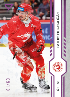 Hrehorčák Patrik Purple Iceberg Parallel 30/60 Tipsport extraliga 24/25 #14
