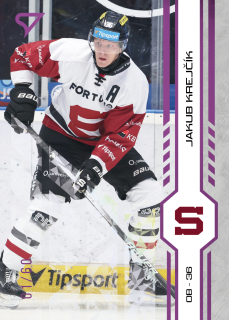 Krejčík Jakub Purple Iceberg Parallel 23/60 Tipsport extraliga 24/25 #42