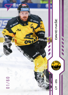 Kaše David Purple Iceberg Parallel 26/60 Tipsport extraliga 24/25 #67