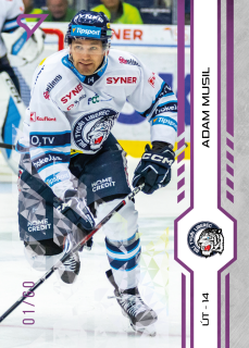 Musil Adam Purple Iceberg Parallel 51/60 Tipsport extraliga 24/25 #122