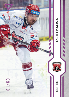 Kalina Petr Purple Iceberg Parallel 24/60 Tipsport extraliga 24/25 #132