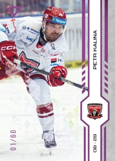 Kalina Petr Purple Iceberg Parallel 45/60 Tipsport extraliga 24/25 #132