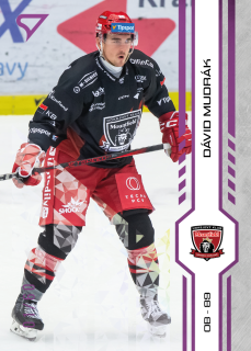 Mudrák Dávid Purple Iceberg Parallel 23/60 Tipsport extraliga 24/25 #134