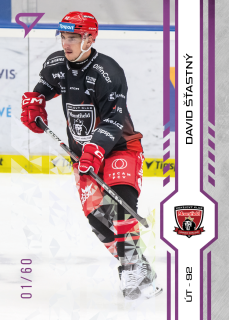 šťastný David Purple Iceberg Parallel 16/60 Tipsport extraliga 24/25 #143