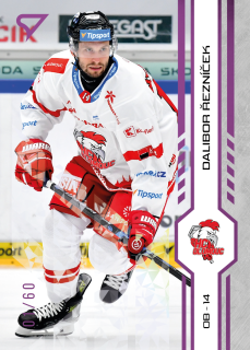 Řezníček Dalibor Purple Iceberg Parallel 59/60 Tipsport extraliga 24/25 #170