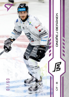 Beránek Ondřej Purple Iceberg Parallel 29/60 Tipsport extraliga 24/25 #190