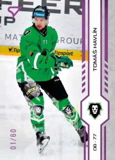 Havlín Tomáš Purple Iceberg Parallel 55/60 Tipsport extraliga 24/25 #220