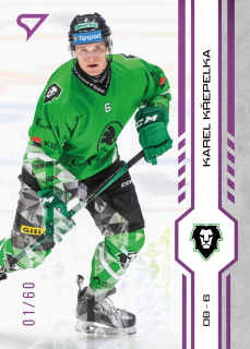 Křepelka Karel Purple Iceberg Parallel 55/60 Tipsport extraliga 24/25 #222