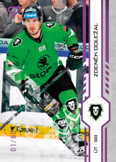 Doležal Zdeněk Purple Iceberg Parallel 30/60 Tipsport extraliga 24/25 #228