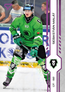 Malát Sebastian Purple Iceberg Parallel 12/60 Tipsport extraliga 24/25 #231