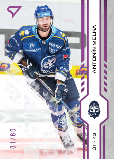 Melka Antonín Purple Iceberg Parallel 39/60 Tipsport extraliga 24/25 #247