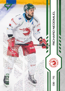 Nedomlel Richard green glitter parallel 21/30 Tipsport extraliga 24/25 #7