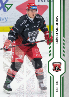 Mudrák Dávid green glitter parallel 6/30 Tipsport extraliga 24/25 #134