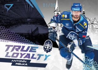 Melka Antonín True Loyalty parallel 10/35 Tipsport extraliga 24/25 #26