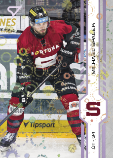 Špaček Michael puck marks Tipsport extraliga 24/25 #276