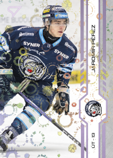 Pérez Jaromír puck marks Tipsport extraliga 24/25 #309