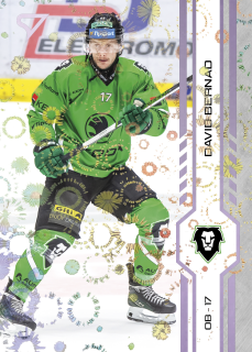 Bernad David puck marks Tipsport extraliga 24/25 #350