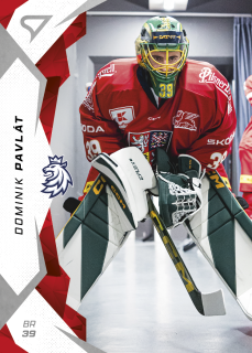 Pavlát Dominik hokejové česko 2025 #6