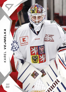 Vejmelka Karel hokejové česko 2025 #7