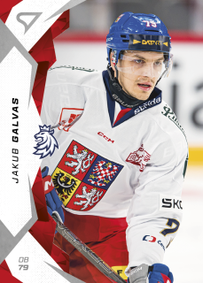Galvas Jakub hokejové česko 2025 #10
