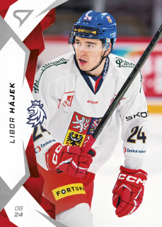 Hájek Libor hokejové česko 2025 #13