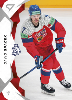Špaček David hokejové česko 2025 #25