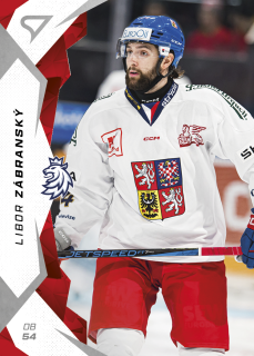 Zábranský Libor hokejové česko 2025 #27