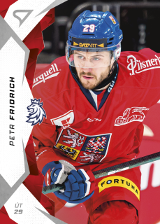 Fridrich Petr hokejové česko 2025 #32