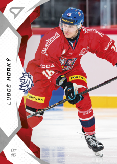 Horký Luboš hokejové česko 2025 #33