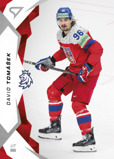 Tomášek David hokejové česko 2025 #59