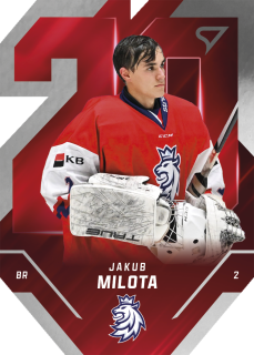 Milota Jakub Team 20 hokejové česko 2025 #3