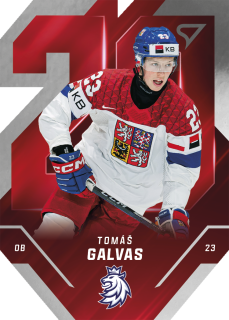 Galvas Tomáš Team 20 hokejové česko 2025 #6