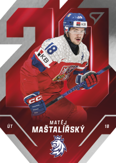 Maštalířský Matěj Team 20 hokejové česko 2025 #17