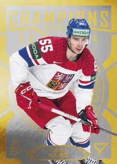 Hájek Libor Champions 2024 hokejové česko 2025 #5