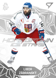 Zábranský Libor homegrown ice stars hokejové česko 2025 #12