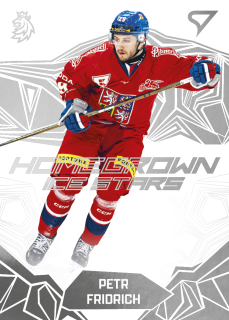 Fridrich Petr homegrown ice stars hokejové česko 2025 #15