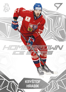 Hrabík Kryštof homegrown ice stars hokejové česko 2025 #16