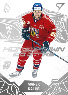 Kalus Marek homegrown ice stars hokejové česko 2025 #18