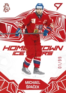 Špaček Michael homegrown ice stars parallel 82/99 hokejové česko 2025 #27