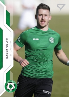 Voltr Radek 20-21 Fortuna Liga #232