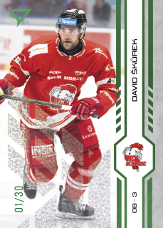Škůrek David green glitter parallel 17/30 Tipsport extraliga 24/25 #327