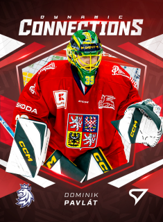 Málek Jakub / Pavlát Dominik Dynamic Connections DC-12