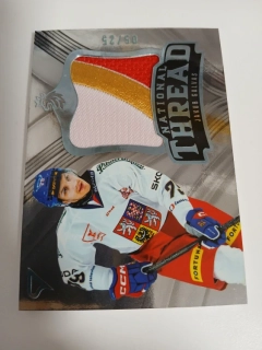 Galvas Jakub National Thread hokejové česko 2025 05/25