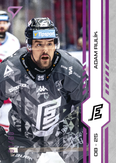 Rulík Adam Purple Iceberg Parallel 29/60 Tipsport extraliga 24/25 #434