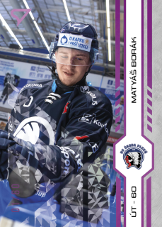 Borák Matyáš Purple Iceberg Parallel 60/60 Tipsport extraliga 24/25 #440