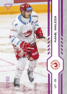 Walega Kamil Purple Iceberg Parallel 8/60 Tipsport extraliga 24/25 #261