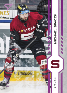 Michael Špaček Purple Iceberg Parallel 16/60 Tipsport extraliga 24/25 #276