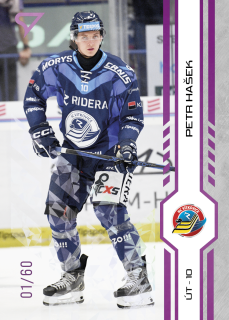 Hašek Petr Purple Iceberg Parallel 16/60 Tipsport extraliga 24/25 #321