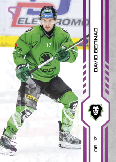 Bernad David Purple Iceberg Parallel 11/60 Tipsport extraliga 24/25 #350